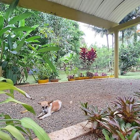 Villa Anacahuita, Limonal Jarabacoa Dış mekan fotoğraf