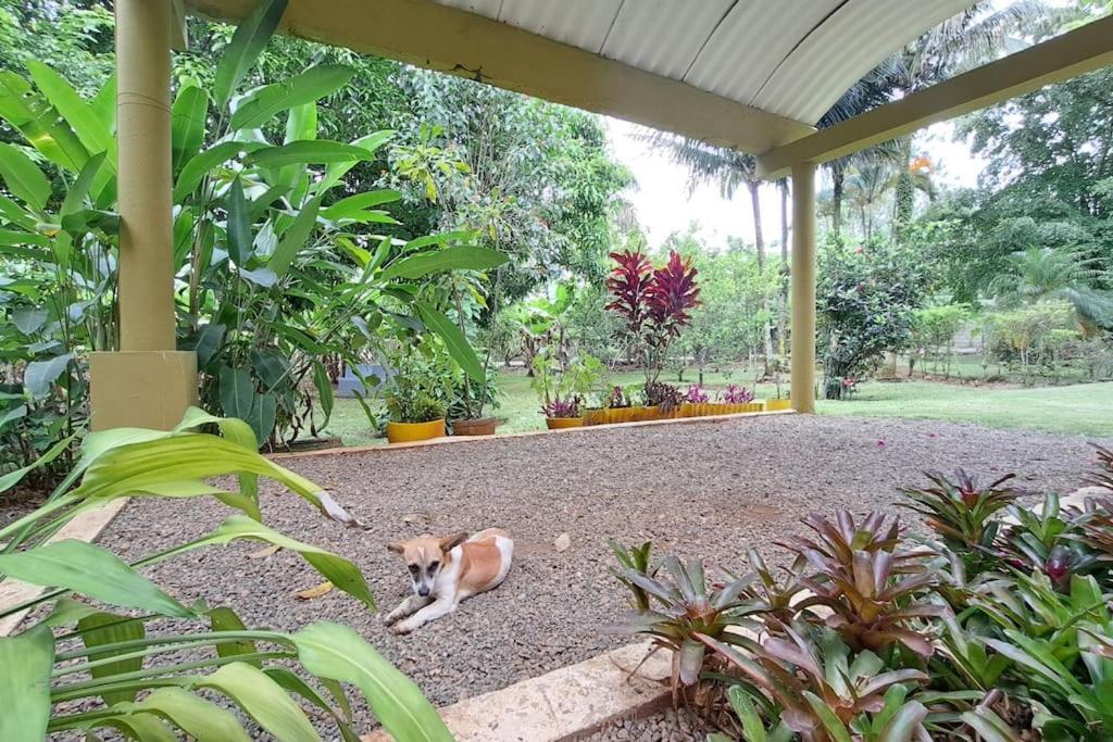 Villa Anacahuita, Limonal Jarabacoa Dış mekan fotoğraf