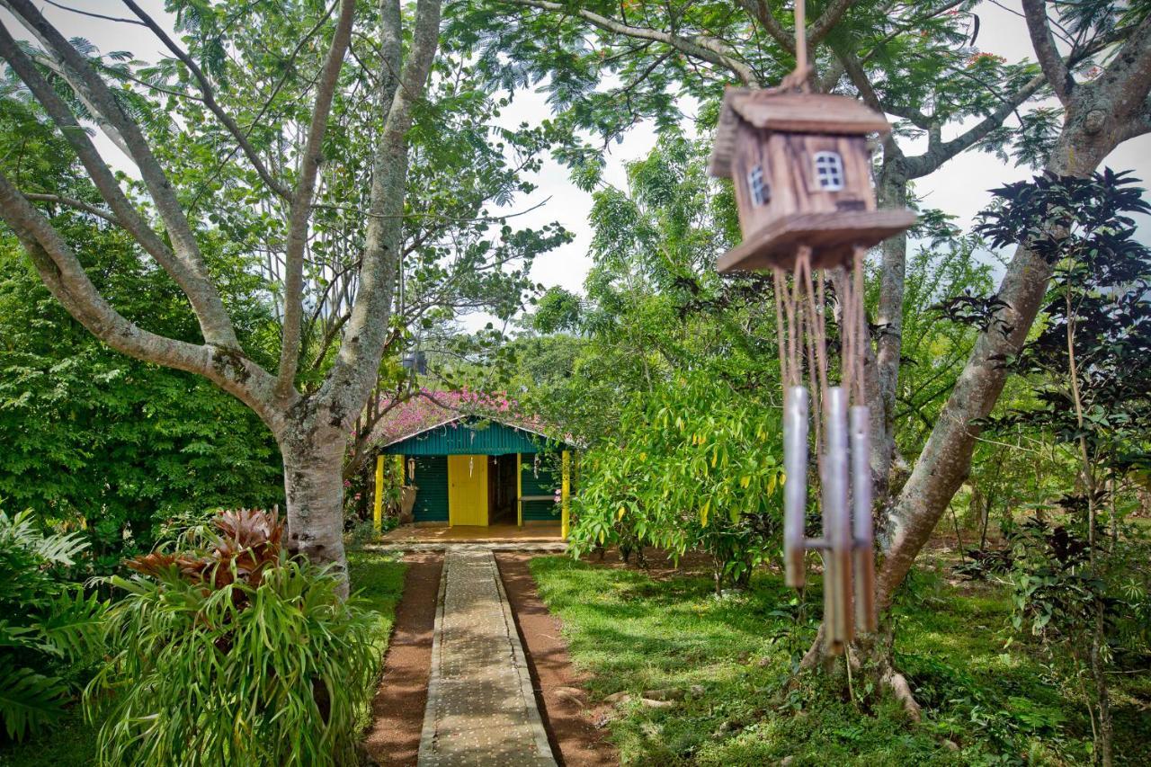 Villa Anacahuita, Limonal Jarabacoa Dış mekan fotoğraf